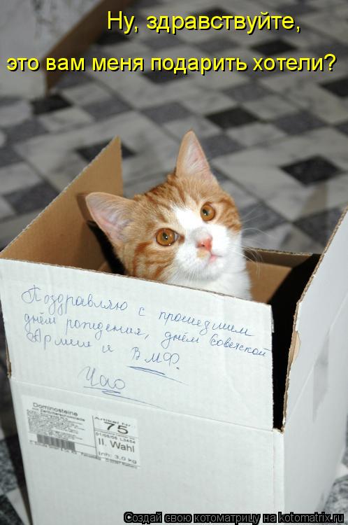 Ну, здравствуйте, это вам меня подарить хотели?... Котоматрица: Ну, здравствуйте, это вам меня подарить хотели?