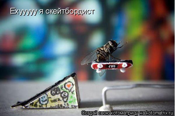 Ехууууу я скейтбордист... Котоматрица: Ехууууу я скейтбордист