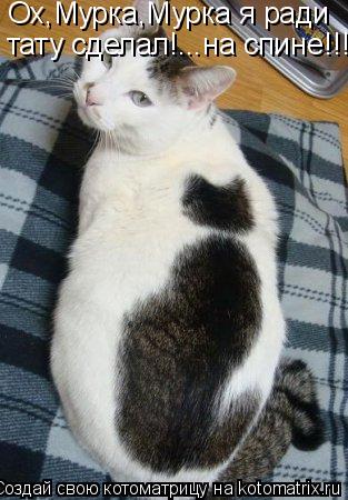 Ох,Мурка,Мурка я ради тату сделал!...на спине!!!... Котоматрица: Ох,Мурка,Мурка я ради тату сделал!...на спине!!!