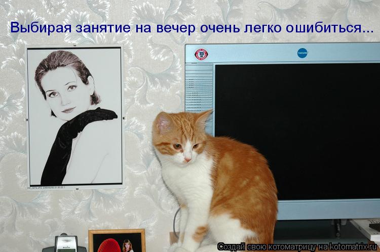 Выбирая занятие на вечер очень легко ошибиться...... Котоматрица: Выбирая занятие на вечер очень легко ошибиться...
