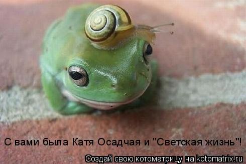 С вами была Катя Осадчая и "Светская жизнь"!... Котоматрица: С вами была Катя Осадчая и "Светская жизнь"!