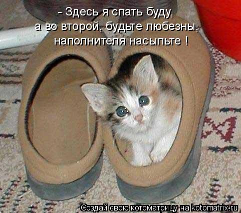 - Здесь я спать буду, а во второй, будьте любезны, наполнителя насыпьте !... Котоматрица: - Здесь я спать буду, а во второй, будьте любезны, наполнителя насыпьте !