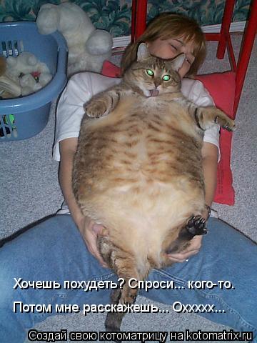 Хочешь похудеть? Спроси... кого-то. Потом мне расскажешь... Оххххх...... Котоматрица: Хочешь похудеть? Спроси... кого-то. Потом мне расскажешь... Оххххх...