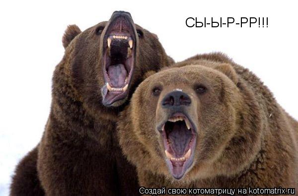 СЫ-Ы-Р-РР!!!... Котоматрица: СЫ-Ы-Р-РР!!!