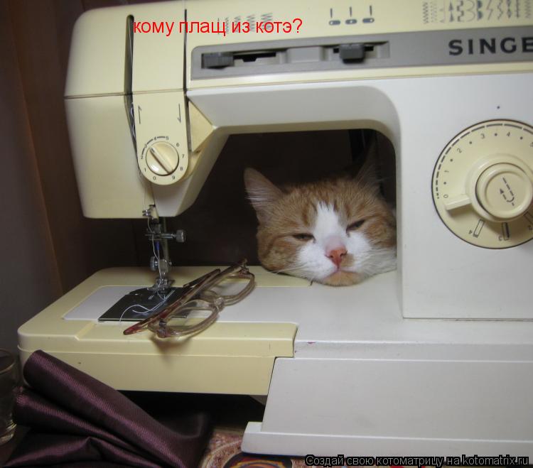 кому плащ из котэ? кому плащ из котэ?... Котоматрица: кому плащ из котэ? кому плащ из котэ?