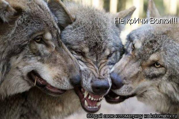 Не крИчи Волки!!!... Котоматрица: Не крИчи Волки!!!