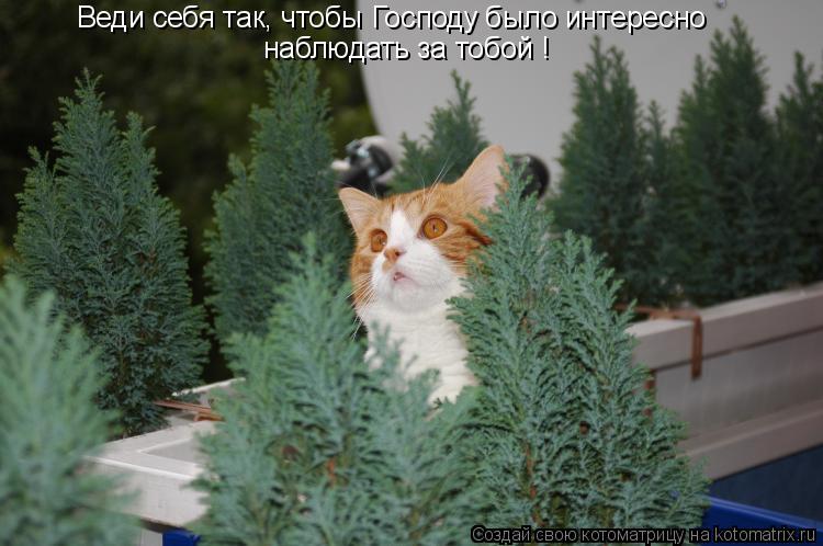 Веди себя так, чтобы Господу было интересно наблюдать за тобой !... Котоматрица: Веди себя так, чтобы Господу было интересно наблюдать за тобой !