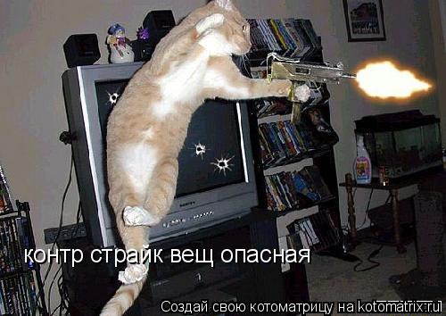 Котоматрица: контр страйк вещ опасная