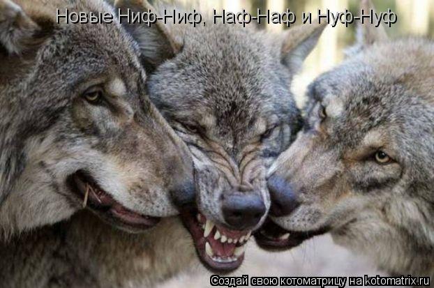 Котоматрица: Новые Ниф-Ниф, Наф-Наф и Нуф-Нуф