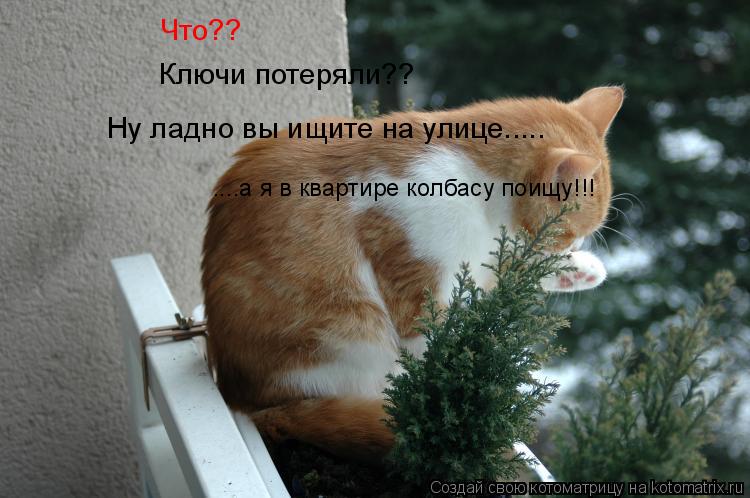 Котоматрица: Что?? Ключи потеряли?? Ну ладно вы ищите на улице..... ....а я в квартире колбасу поищу!!!