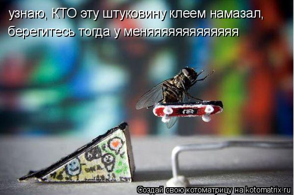 Котоматрица: узнаю, КТО эту штуковину клеем намазал, берегитесь тогда у меняяяяяяяяяяяяя
