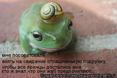 Котоматрица: взять на свидание страшненькую подружку, мне посоветовали  чтобы все принцы достались мне кто ж знал,что они жаб предпочитают...