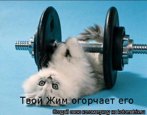 Твой Жим огорчает его... Котоматрица: Твой Жим огорчает его