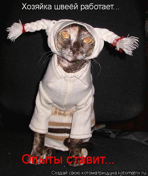 Хозяйка швеёй работает... Опыты ставит...... Котоматрица: Хозяйка швеёй работает... Опыты ставит...