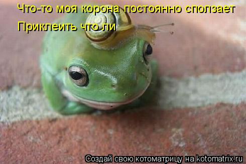 Что-то моя корона постоянно сползает Приклеить что ли... Котоматрица: Что-то моя корона постоянно сползает Приклеить что ли