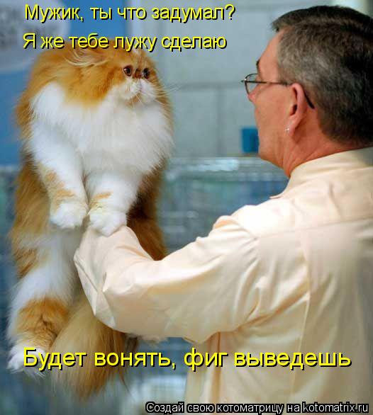 Мужик, ты что задумал? Я же тебе лужу сделаю Будет вонять, фиг выведешь... Котоматрица: Мужик, ты что задумал? Я же тебе лужу сделаю Будет вонять, фиг выведешь