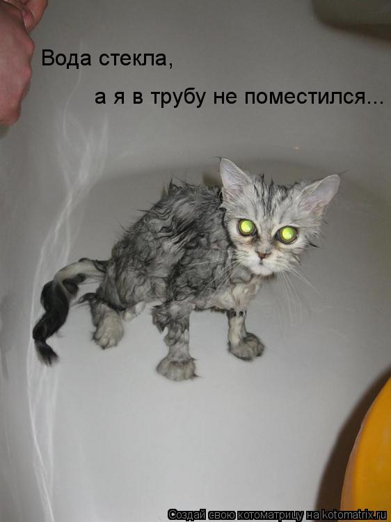 а я в трубу не поместился... Вода стекла,... Котоматрица: а я в трубу не поместился... Вода стекла,