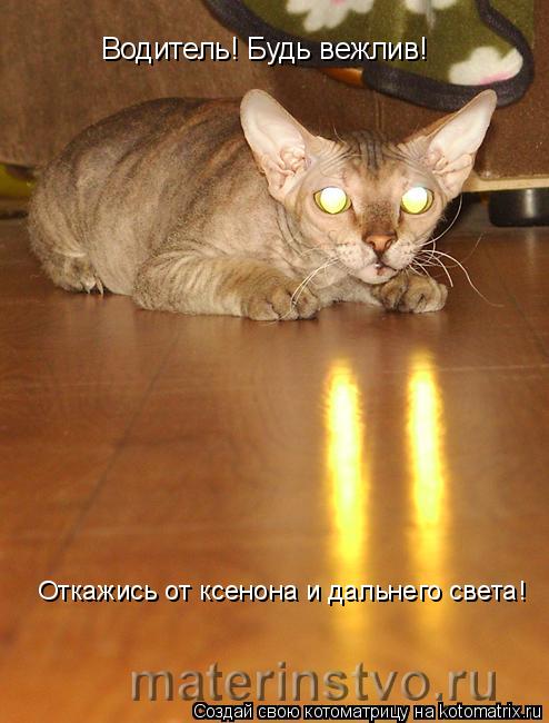 Водитель! Будь вежлив! Откажись от ксенона и дальнего света!... Котоматрица: Водитель! Будь вежлив! Откажись от ксенона и дальнего света!