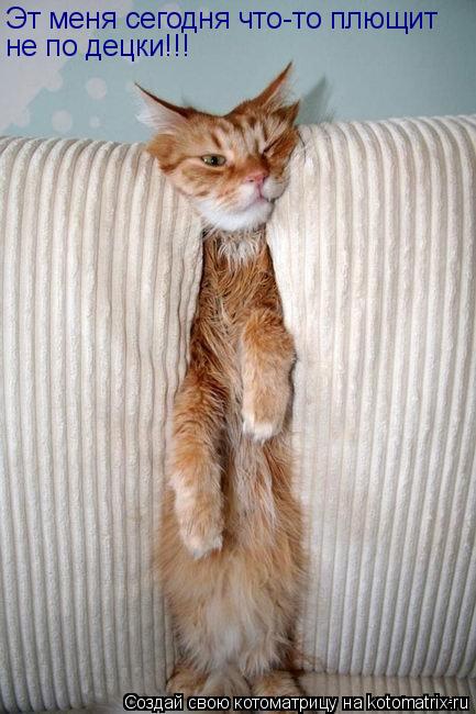 Эт меня сегодня что-то плющит не по децки!!!... Котоматрица: Эт меня сегодня что-то плющит не по децки!!!