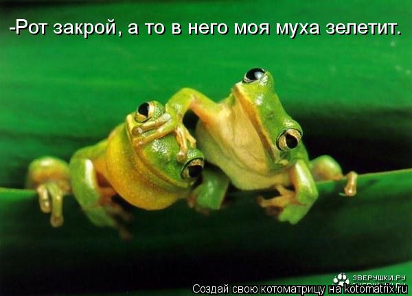 -Рот закрой, а то в него моя муха зелетит.... Котоматрица: -Рот закрой, а то в него моя муха зелетит.