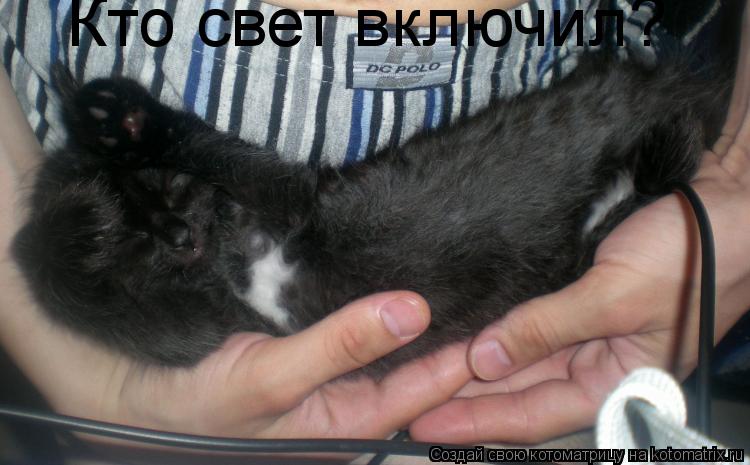 Кто свет включил?... Котоматрица: Кто свет включил?