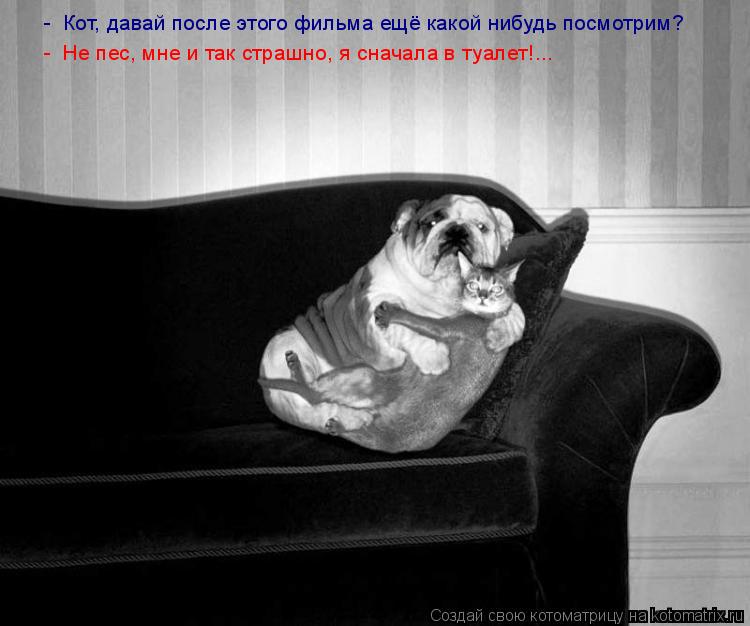 - Кот, давай после этого фильма ещё какой нибудь посмотрим? - Не пес, мне и так страшно, я сначала ... Котоматрица: - Кот, давай после этого фильма ещё какой нибудь посмотрим? - Не пес, мне и так страшно, я сначала в туалет!...