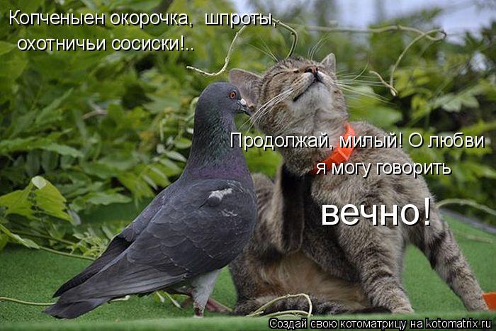 Копченыен окорочка, шпроты, охотничьи сосиски!.. Продолжай, милый! О любви я могу говорить вечно!... Котоматрица: Копченыен окорочка, шпроты, охотничьи сосиски!.. Продолжай, милый! О любви я могу говорить вечно!