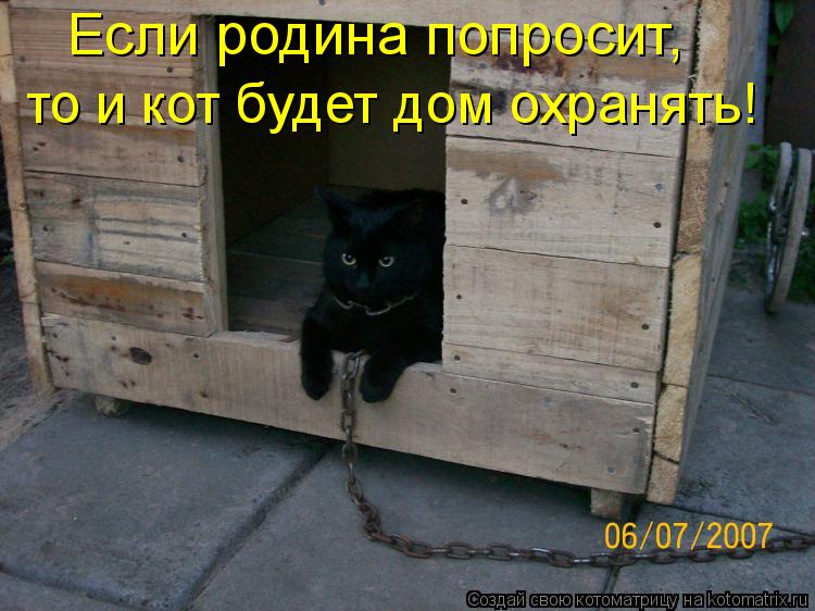 Котоматрица: Если родина попросит,  то и кот будет дом охранять!