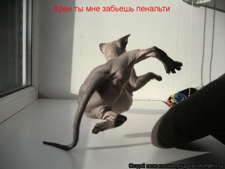 - Хрен ты мне забьешь пенальти... Котоматрица: - Хрен ты мне забьешь пенальти