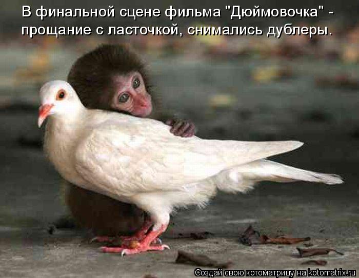 В финальной сцене фильма "Дюймовочка" - прощание с ласточкой, снимались дублеры.... Котоматрица: В финальной сцене фильма "Дюймовочка" - прощание с ласточкой, снимались дублеры.