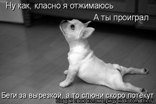 Ну как, класно я отжимаюсь А ты проиграл Беги за вырезкой, а то слюни скоро потекут... Котоматрица: Ну как, класно я отжимаюсь А ты проиграл Беги за вырезкой, а то слюни скоро потекут