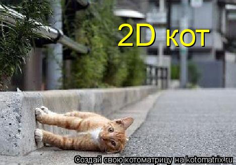 2D кот... Котоматрица: 2D кот