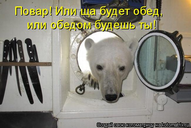 Повар! Или ща будет обед, или обедом будешь ты!... Котоматрица: Повар! Или ща будет обед, или обедом будешь ты!