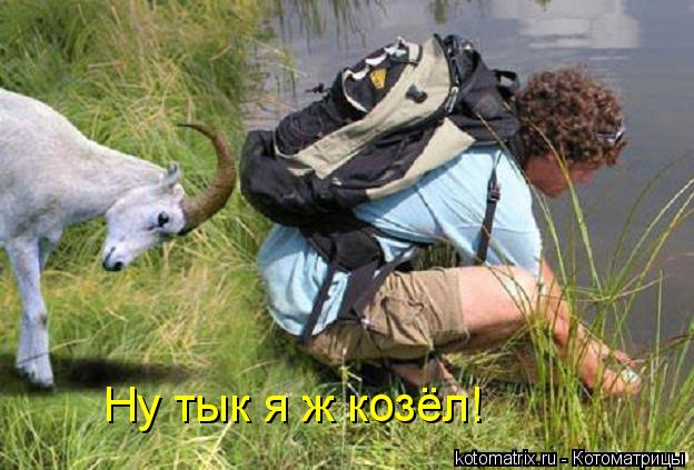 Ну тык я ж козёл!... Котоматрица: Ну тык я ж козёл!