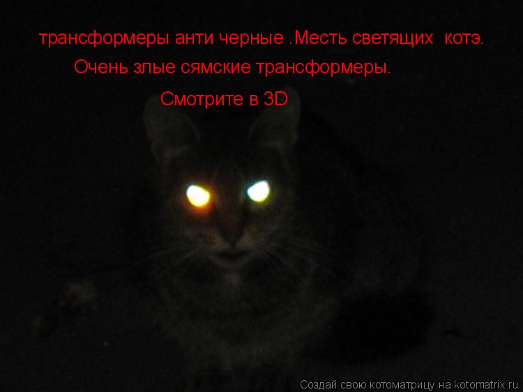 трансформеры анти черные .Месть светящих котэ. Очень злые сямские трансформеры. Смотрите в 3D... Котоматрица: трансформеры анти черные .Месть светящих котэ. Очень злые сямские трансформеры. Смотрите в 3D
