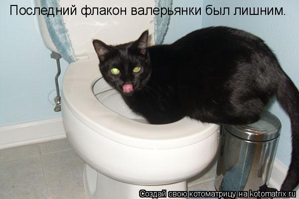 Последний флакон валерьянки был лишним.... Котоматрица: Последний флакон валерьянки был лишним.