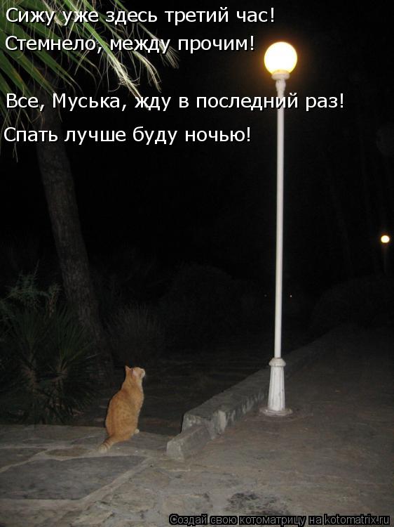Сижу уже здесь третий час! Все, Муська, жду в последний раз! Спать лучше буду ночью! Стемнело, между ... Котоматрица: Сижу уже здесь третий час! Все, Муська, жду в последний раз! Спать лучше буду ночью! Стемнело, между прочим!