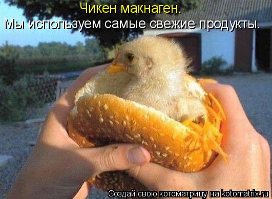 Чикен макнаген. Мы используем самые свежие продукты.... Котоматрица: Чикен макнаген. Мы используем самые свежие продукты.