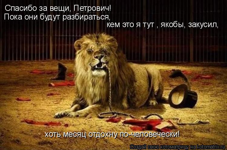 Спасибо за вещи, Петрович! Пока они будут разбираться, кем это я тут , якобы, закусил, хоть месяц о... Котоматрица: Спасибо за вещи, Петрович! Пока они будут разбираться, кем это я тут , якобы, закусил, хоть месяц отдохну по-человечески!