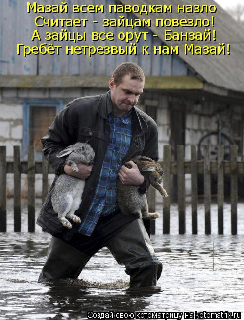 Мазай всем паводкам назло Считает - зайцам повезло! А зайцы все орут - Банзай! Гребёт нетрезвый к ... Котоматрица: Мазай всем паводкам назло Считает - зайцам повезло! А зайцы все орут - Банзай! Гребёт нетрезвый к нам Мазай!