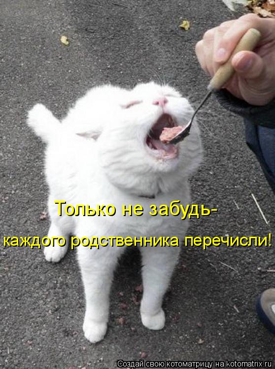 Только не забудь- каждого родственника перечисли!... Котоматрица: Только не забудь- каждого родственника перечисли!