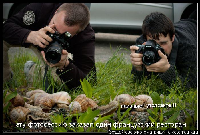 эту фотосессию заказал один французский ресторан наивные! уползайте!!!... Котоматрица: эту фотосессию заказал один французский ресторан наивные! уползайте!!!