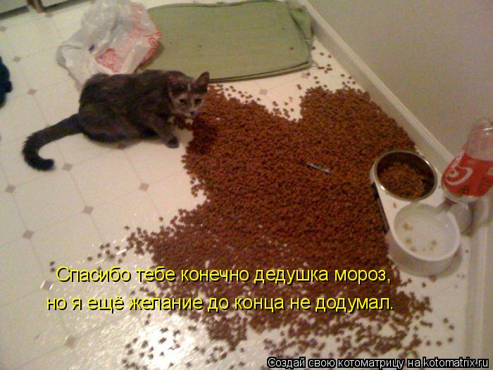 Спасибо тебе конечно дедушка мороз, но я ещё желание до конца не додумал.... Котоматрица: Спасибо тебе конечно дедушка мороз, но я ещё желание до конца не додумал.