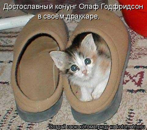 Достославный конунг Олаф Годфридсон в своём драккаре.... Котоматрица: Достославный конунг Олаф Годфридсон в своём драккаре.