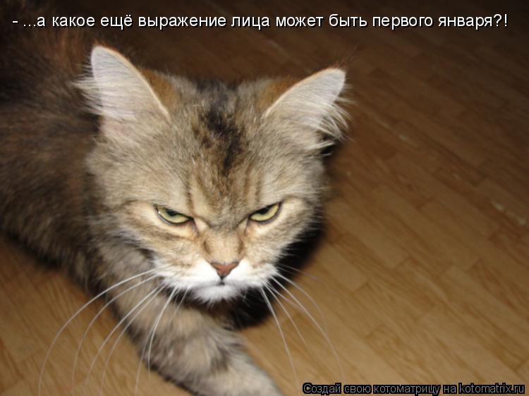 - ...а какое ещё выражение лица может быть первого января?!... Котоматрица: - ...а какое ещё выражение лица может быть первого января?!