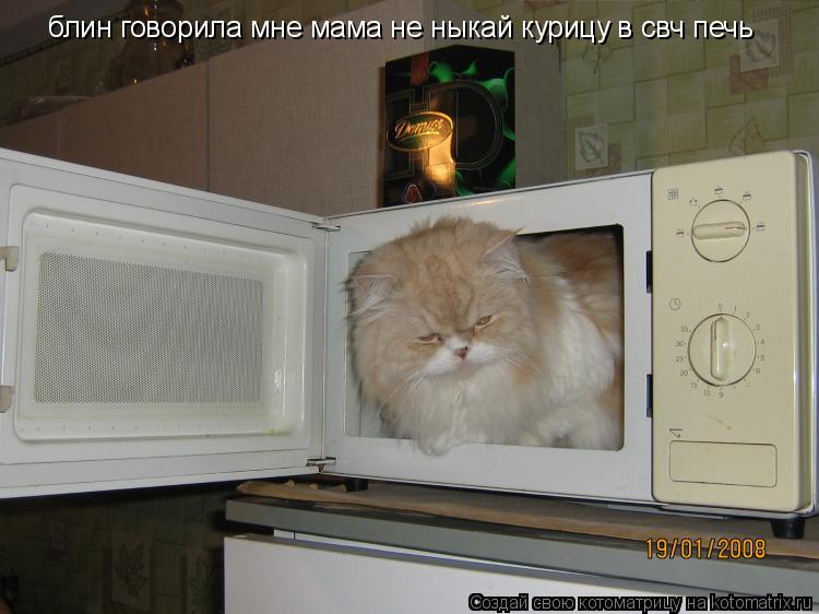 блин говорила мне мама не ныкай курицу в свч печь... Котоматрица: блин говорила мне мама не ныкай курицу в свч печь