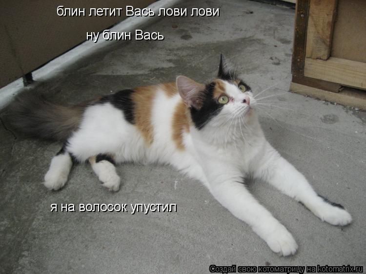 блин летит Вась лови лови ну блин Вась я на волосок упустил... Котоматрица: блин летит Вась лови лови ну блин Вась я на волосок упустил
