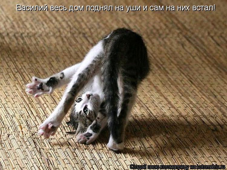 Василий весь дом поднял на уши и сам на них встал!... Котоматрица: Василий весь дом поднял на уши и сам на них встал!