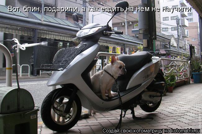 Вот, блин, подарили, а как ездить на нем не научили... Котоматрица: Вот, блин, подарили, а как ездить на нем не научили