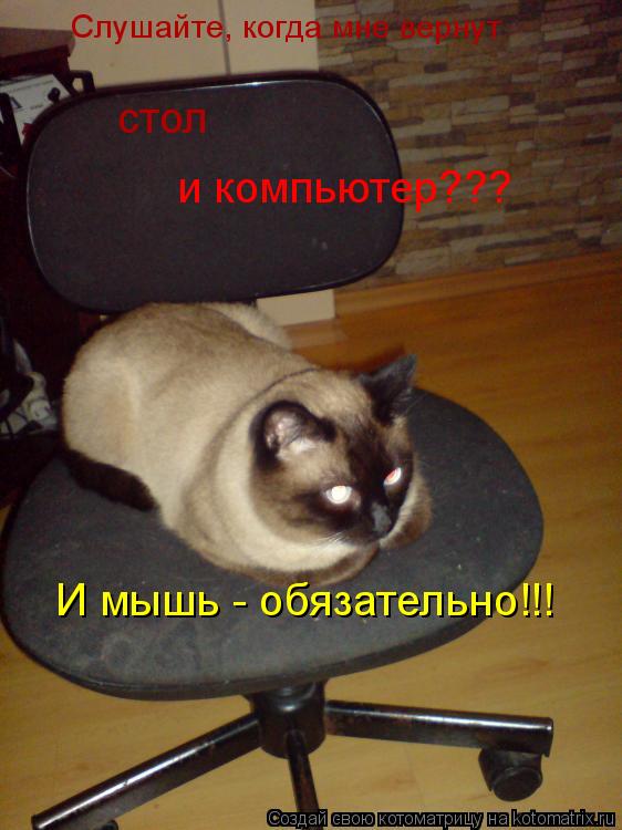 Слушайте, когда мне вернут стол и компьютер??? И мышь - обязательно!!!... Котоматрица: Слушайте, когда мне вернут стол и компьютер??? И мышь - обязательно!!!